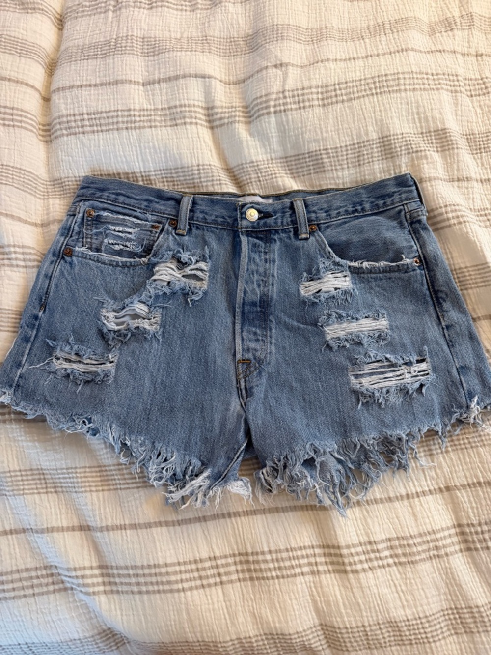 Runwaydreamz Shorts